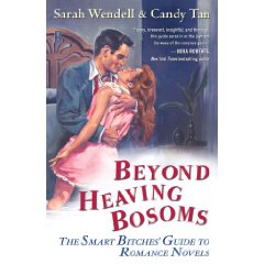 Beyond Heaving Bosoms: Smart Bitches Guide to Trashy Novels
