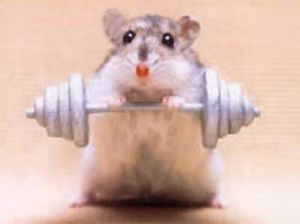 Gym rat, that I am!